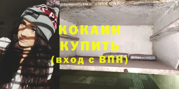 ГАЛЛЮЦИНОГЕННЫЕ ГРИБЫ Тында