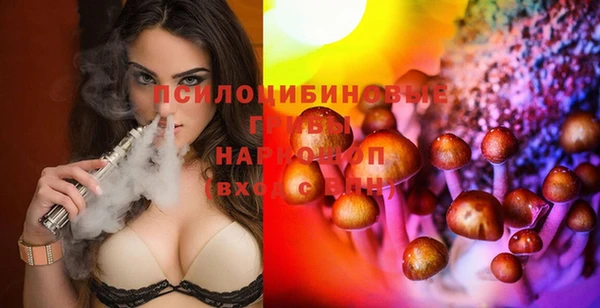 ГАЛЛЮЦИНОГЕННЫЕ ГРИБЫ Тында